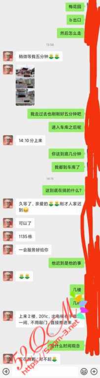 梅花园小燕子体验并不好记