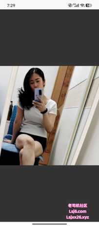 昌岗三通菊花叶子