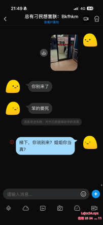 总有刁民想害朕（大雷玩人飞机）