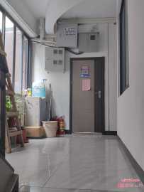 广州车陂微胖小青，个人挺满意