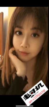 番禺奥园小猫咪